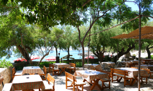 Gostionica Mala Milna Hvar Terrasse Restaurant Mediteran Beach