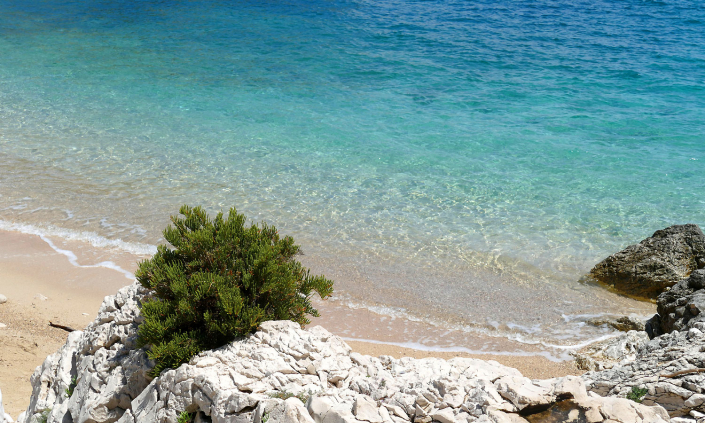 Gostionica Mala Milna Hvar Restaurant Beach Meer Adriatc Mediteran Adria Strand