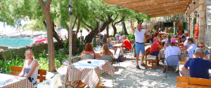 Gostionica Mala Milna Hvar Restaurant Beach Meer Adriatc Mediteran Adria Terrasse Dinko