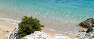 Gostionica Mala Milna Hvar Restaurant Beach Meer Adriatc Mediteran Strand Adria